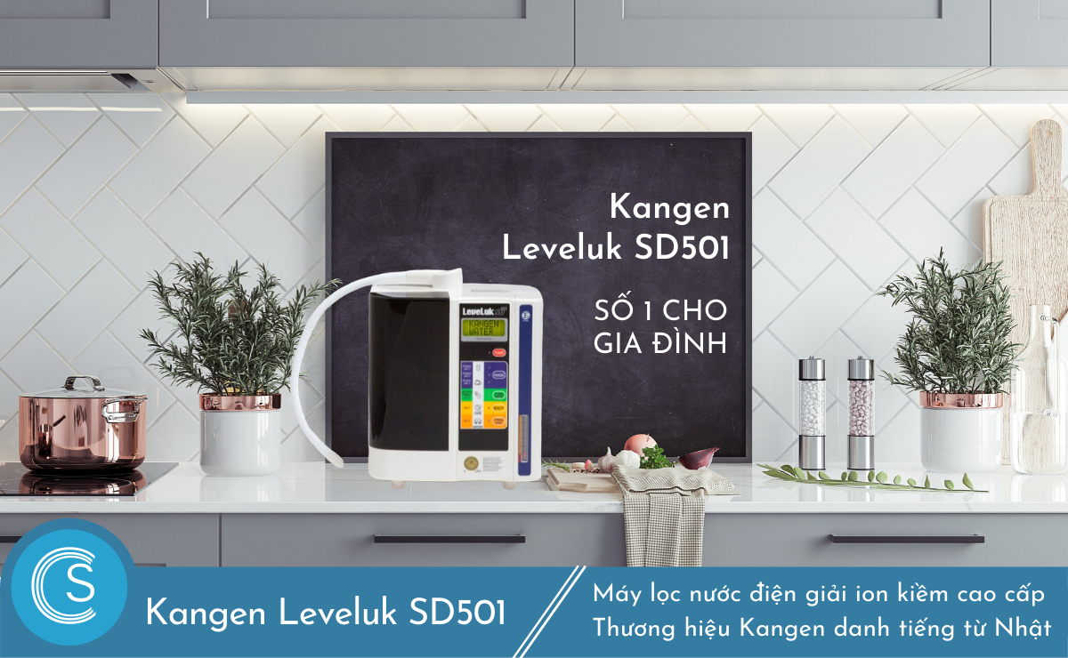 Kangen Leveluk SD501