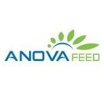 Anova Feed Logo
